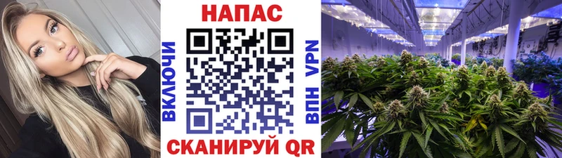 Шишки марихуана гибрид  купить  сайты  Таштагол 